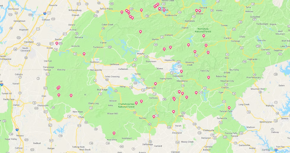Map of an area with a green shaded region, indicating a park or forest, with red markers denoting locations.