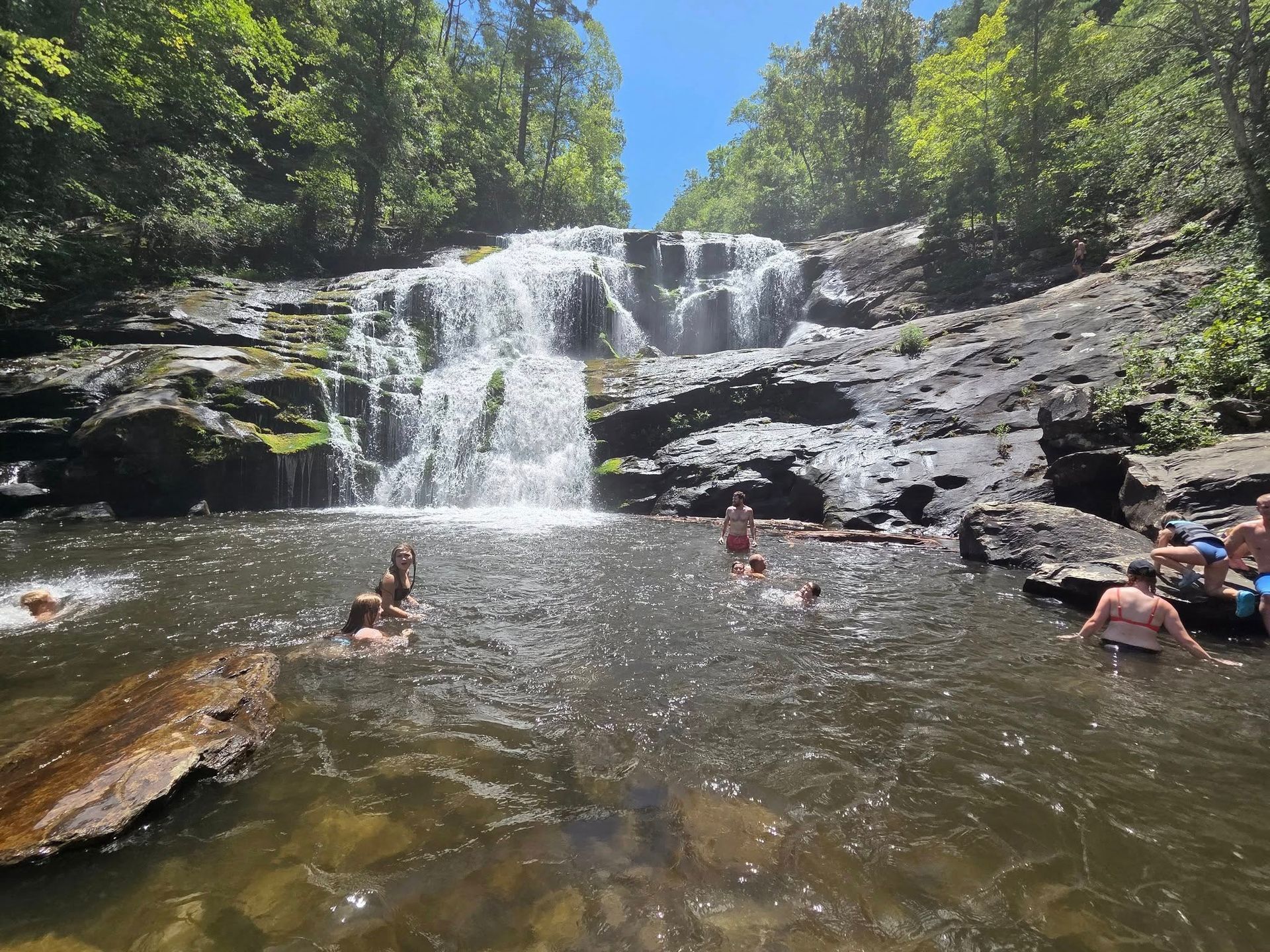 There is a small waterfall in the middle of a river surrounded by trees.
