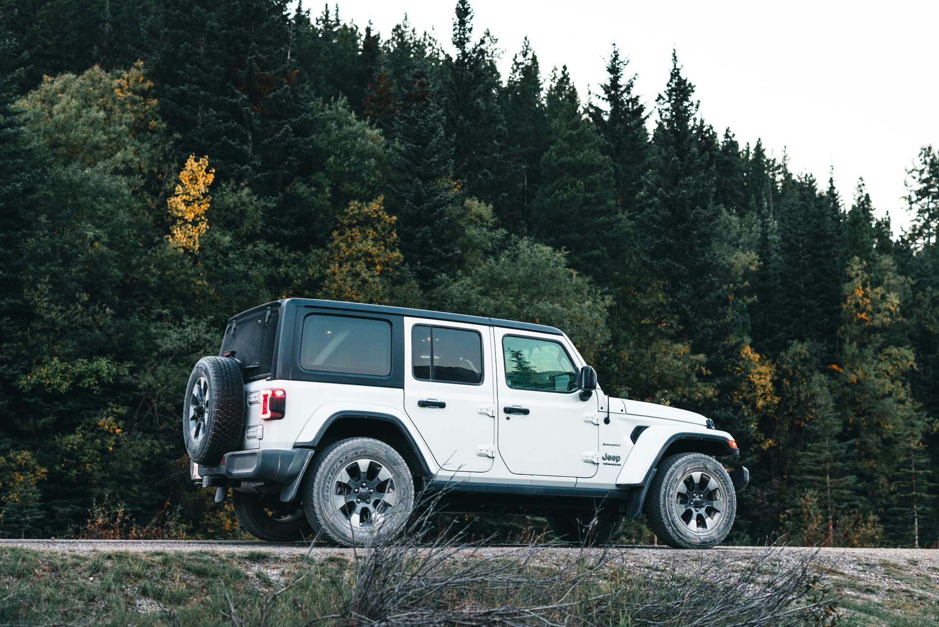 White Jeep Wrangler parked on a road with a forest background.