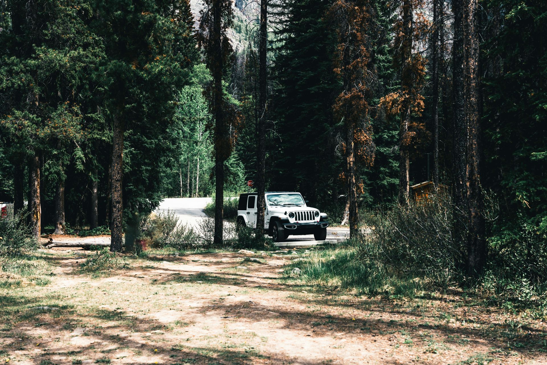 White Jeep on a gravel road, trees on either side, mountain in the background.
