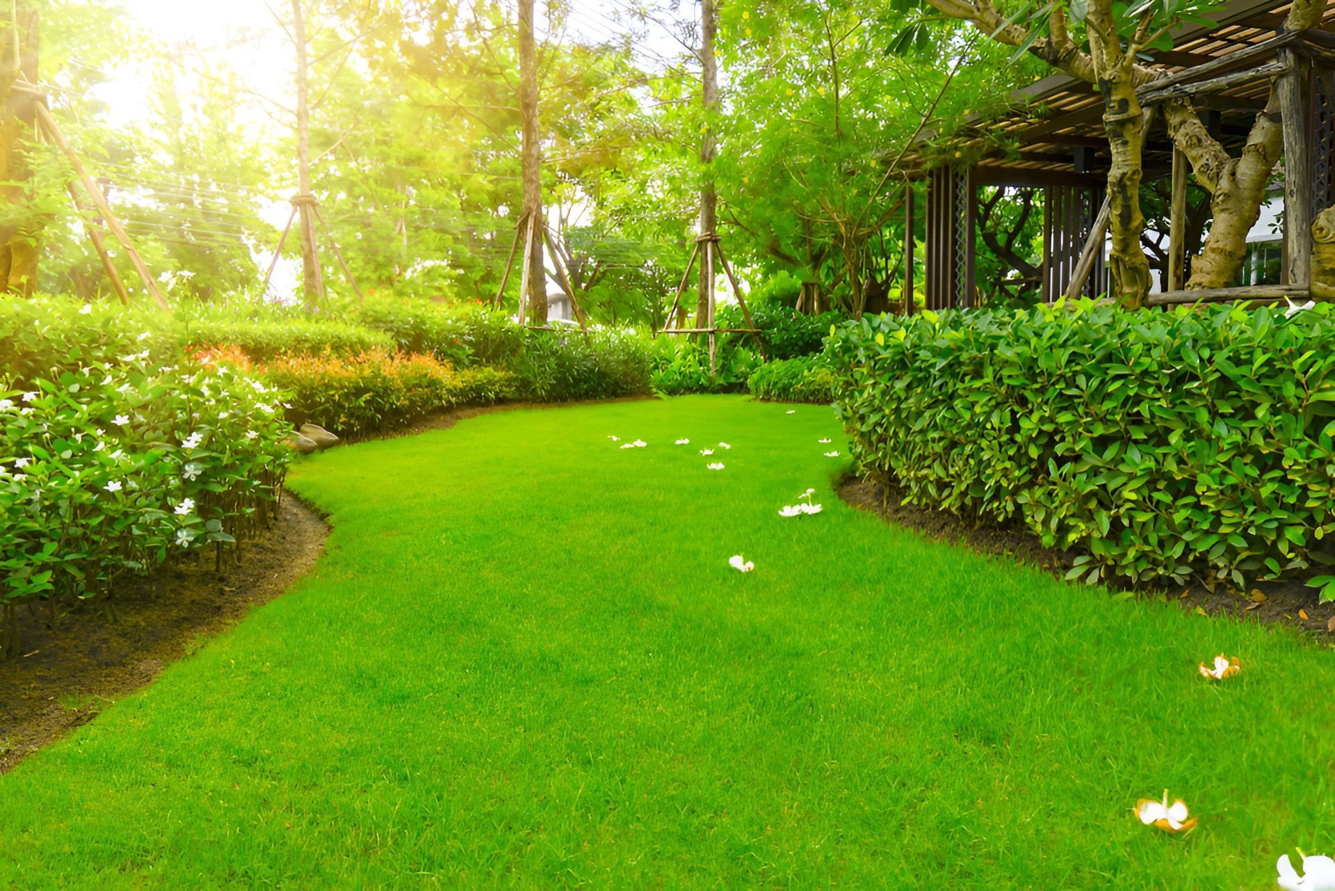 Green Lawn Path Winds Through a Garden With Hedges — Garden City Slashing in Toowoomba, QLD