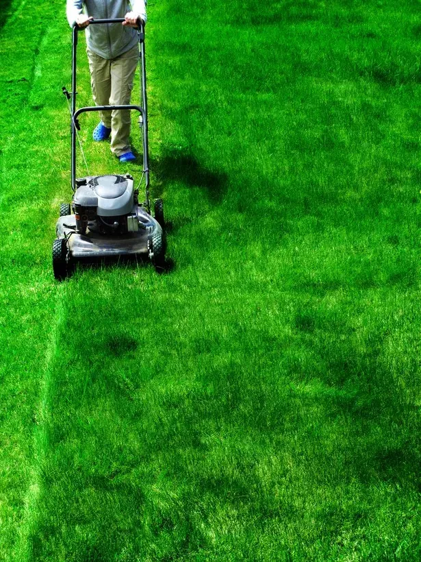 Person Mowing a Green Lawn With a Push Mower — Garden City Slashing in Highfields, QLD