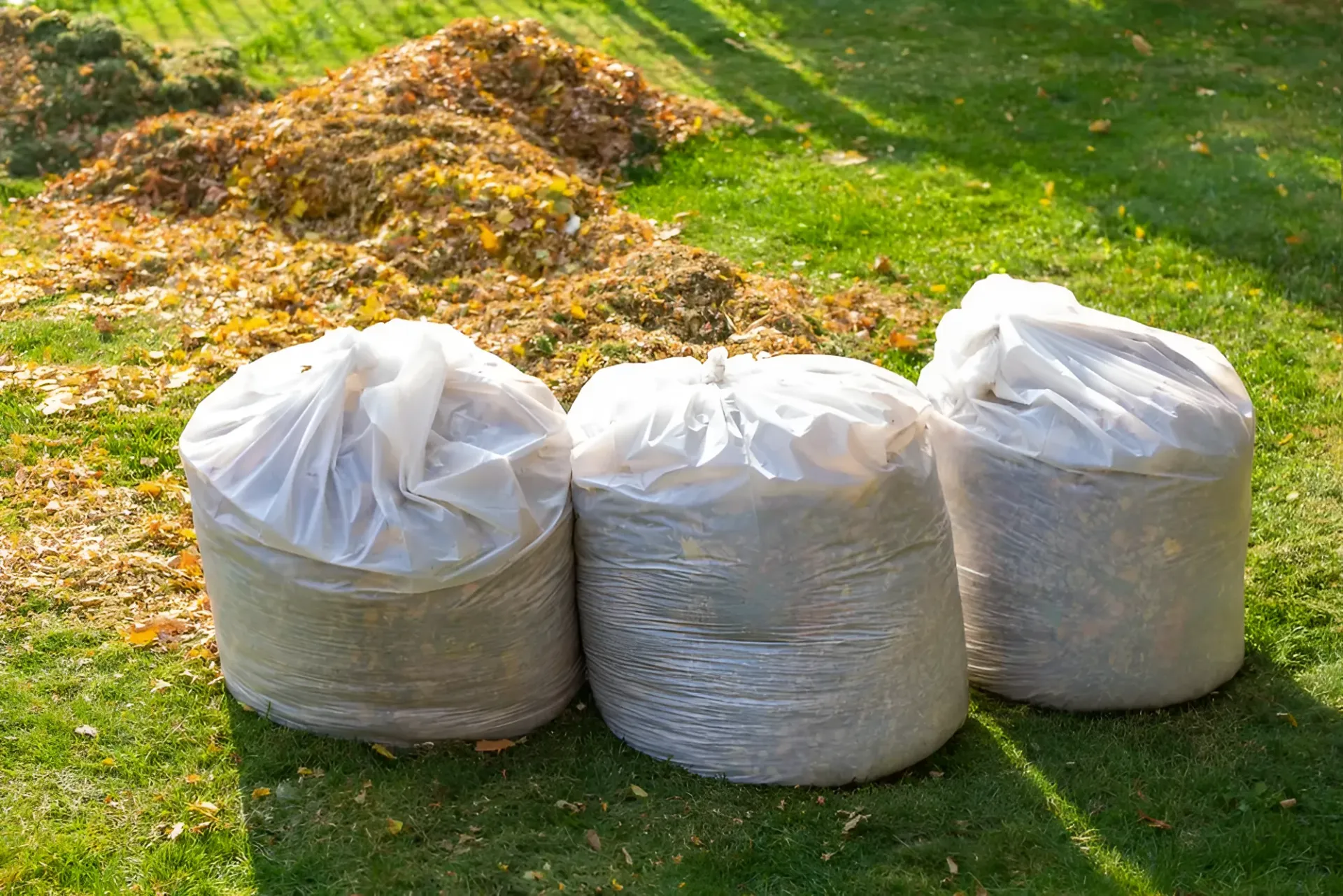 Three Full White Trash Bags on a Green Lawn With a Pile of Fallen Leaves — Garden City Slashing in Highfields, QLD