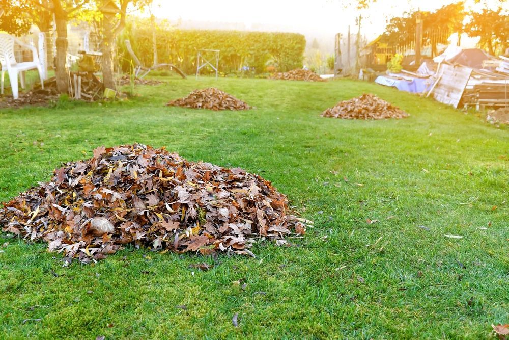 Lawn With Piles of Fallen Brown Leaves; Sunlight Shines — Garden City Slashing in Highfields, QLD