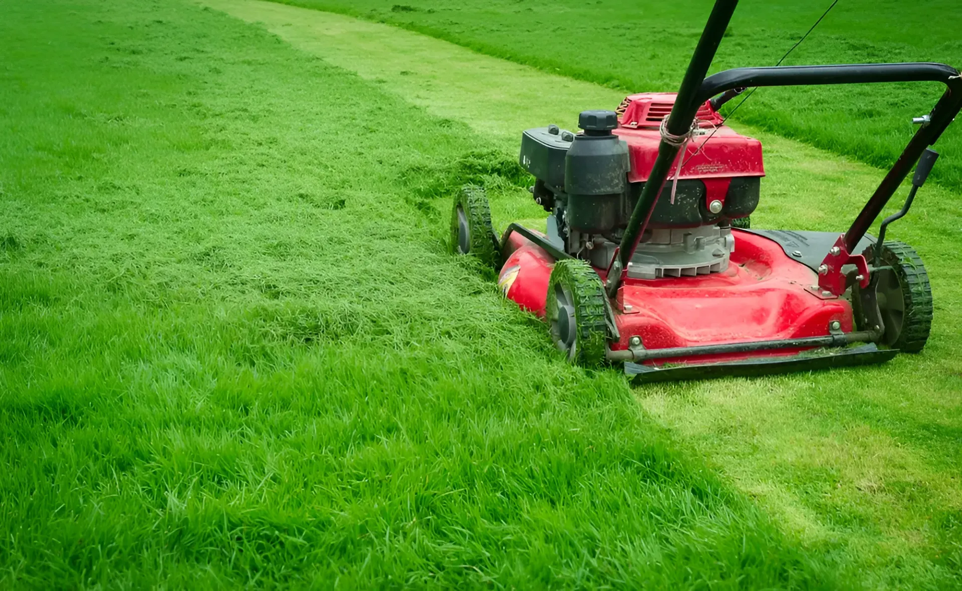 Red Lawn Mower Mowing a Green Grassy Lawn, With Cut Grass Visible — Garden City Slashing in Highfields, QLD