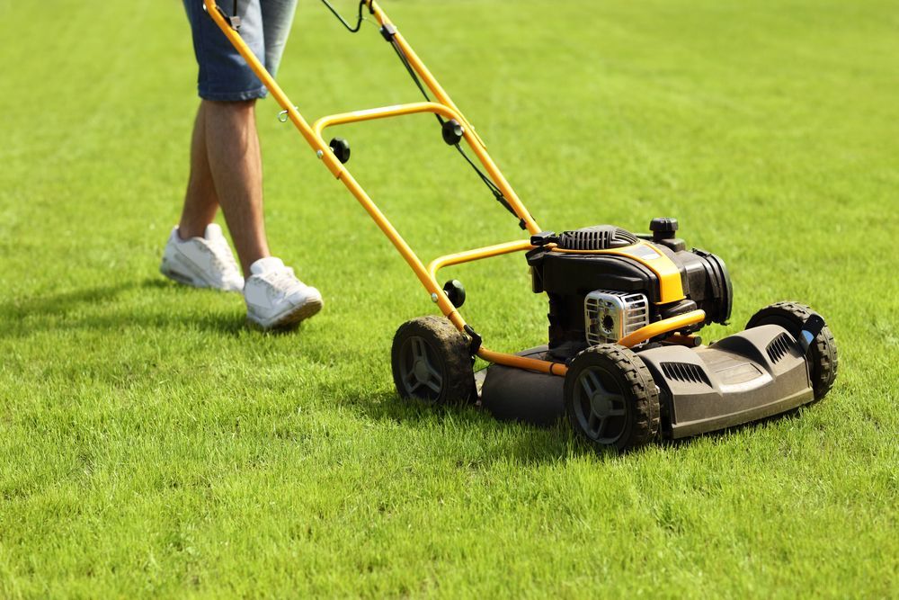Person Mowing Green Lawn With a Yellow and Black Lawnmower on a Sunny Day — Garden City Slashing in Toowoomba, QLD