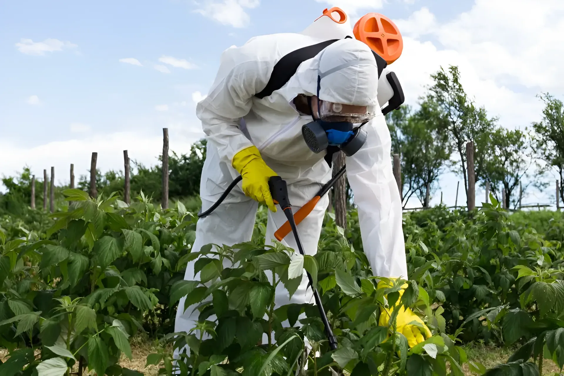 Person in Protective Suit Spraying Plants With Pesticide in a Field — Garden City Slashing in Highfields, QLD
