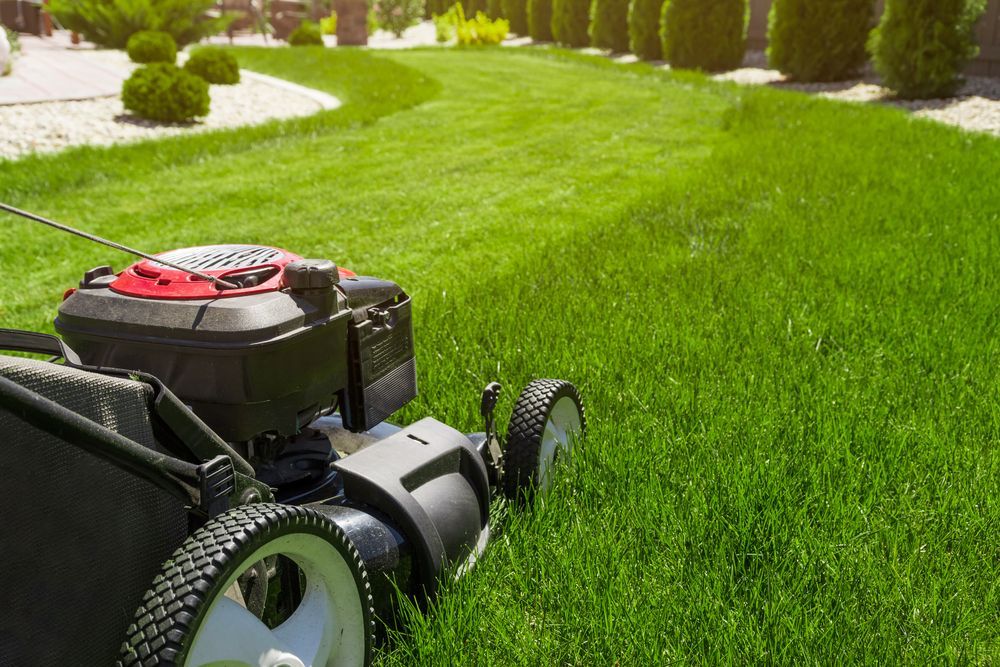 Lawn Mower Cutting a Bright Green Lawn in a Landscaped Yard — Garden City Slashing in Highfields, QLD