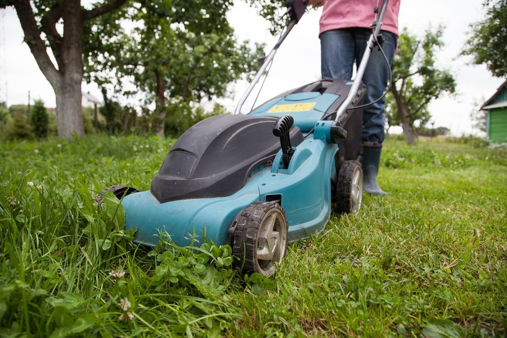 Person Mowing Grass With a Blue Lawnmower in a Yard — Garden City Slashing in Highfields, QLD