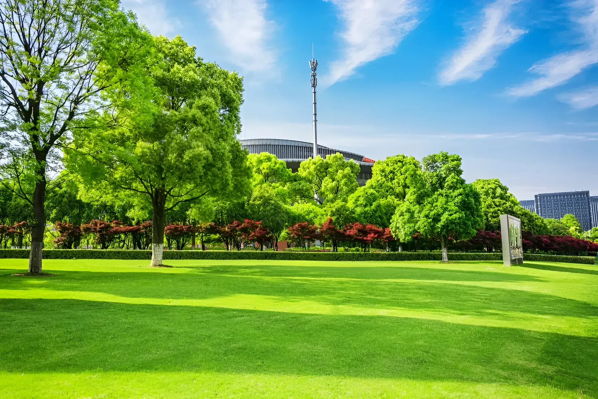 Lush Green Lawn With Trees, Red Bushes, and Buildings — Garden City Slashing in Highfields, QLD