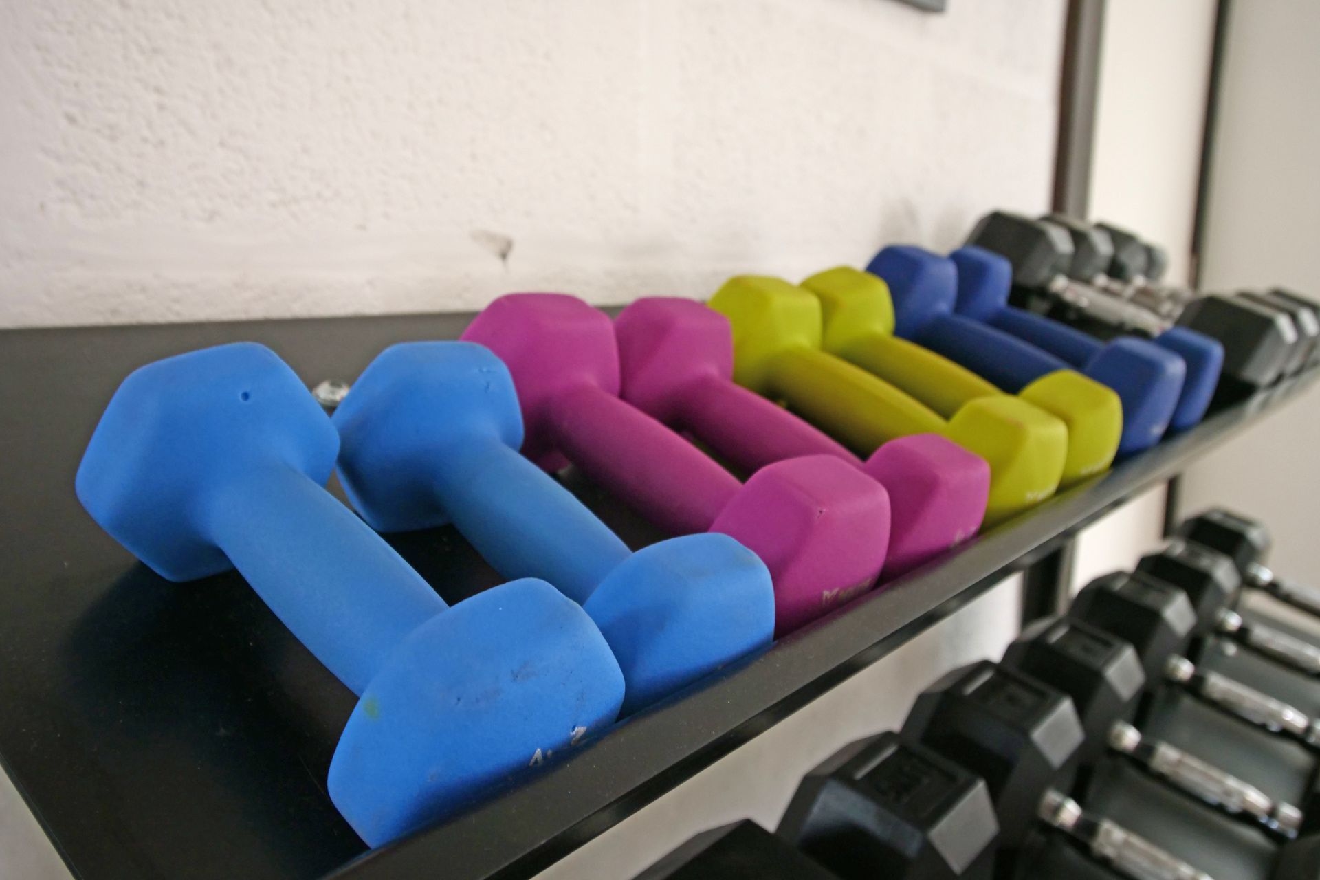 Row of colorful dumbbells on a black shelf in a gym.