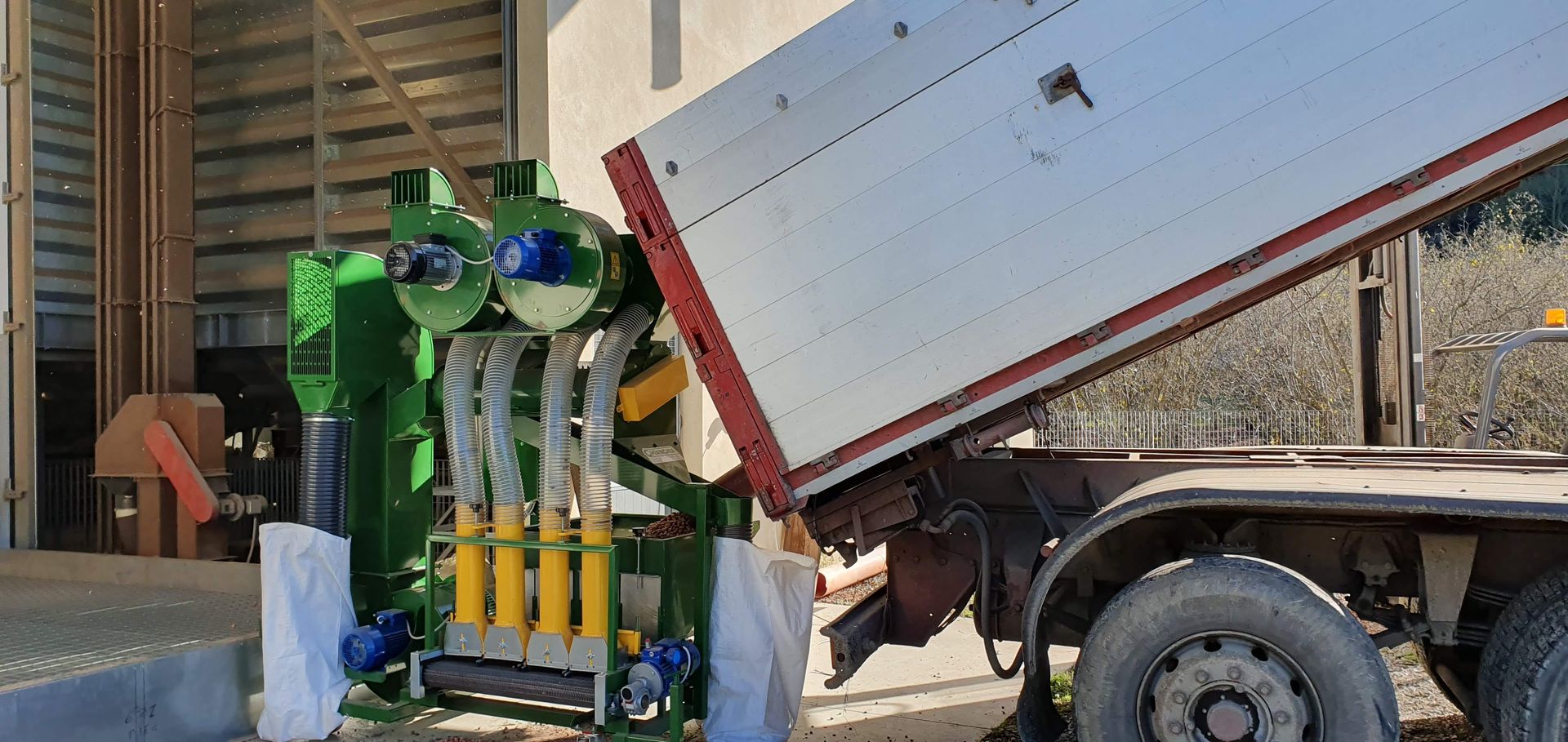 Un camion scarica grano in un macchinario industriale. Macchinario verde e giallo, cassone grigio, scenario esterno.
