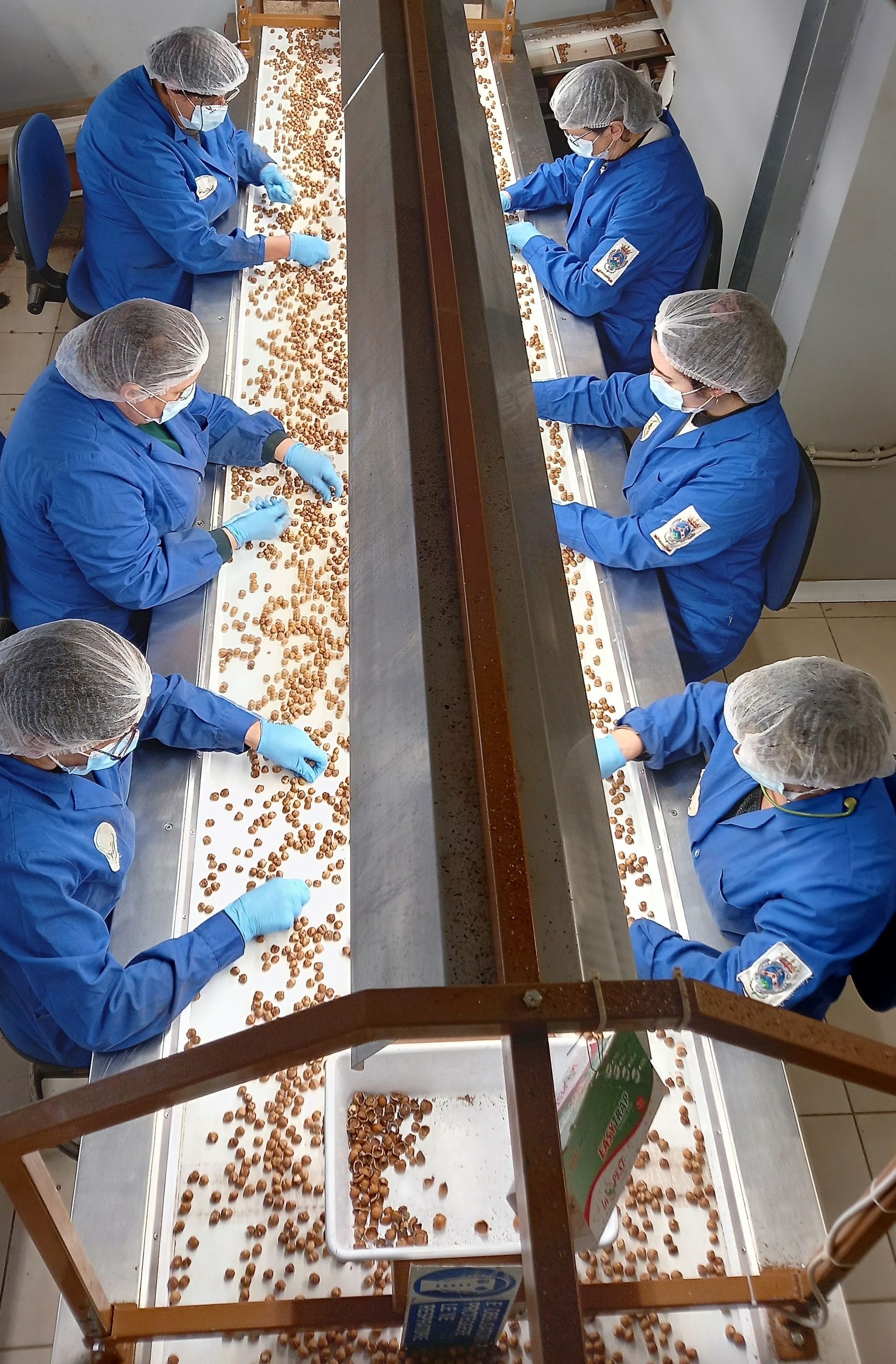 Gli operai in uniforme blu smistano gli oggetti su un nastro trasportatore.