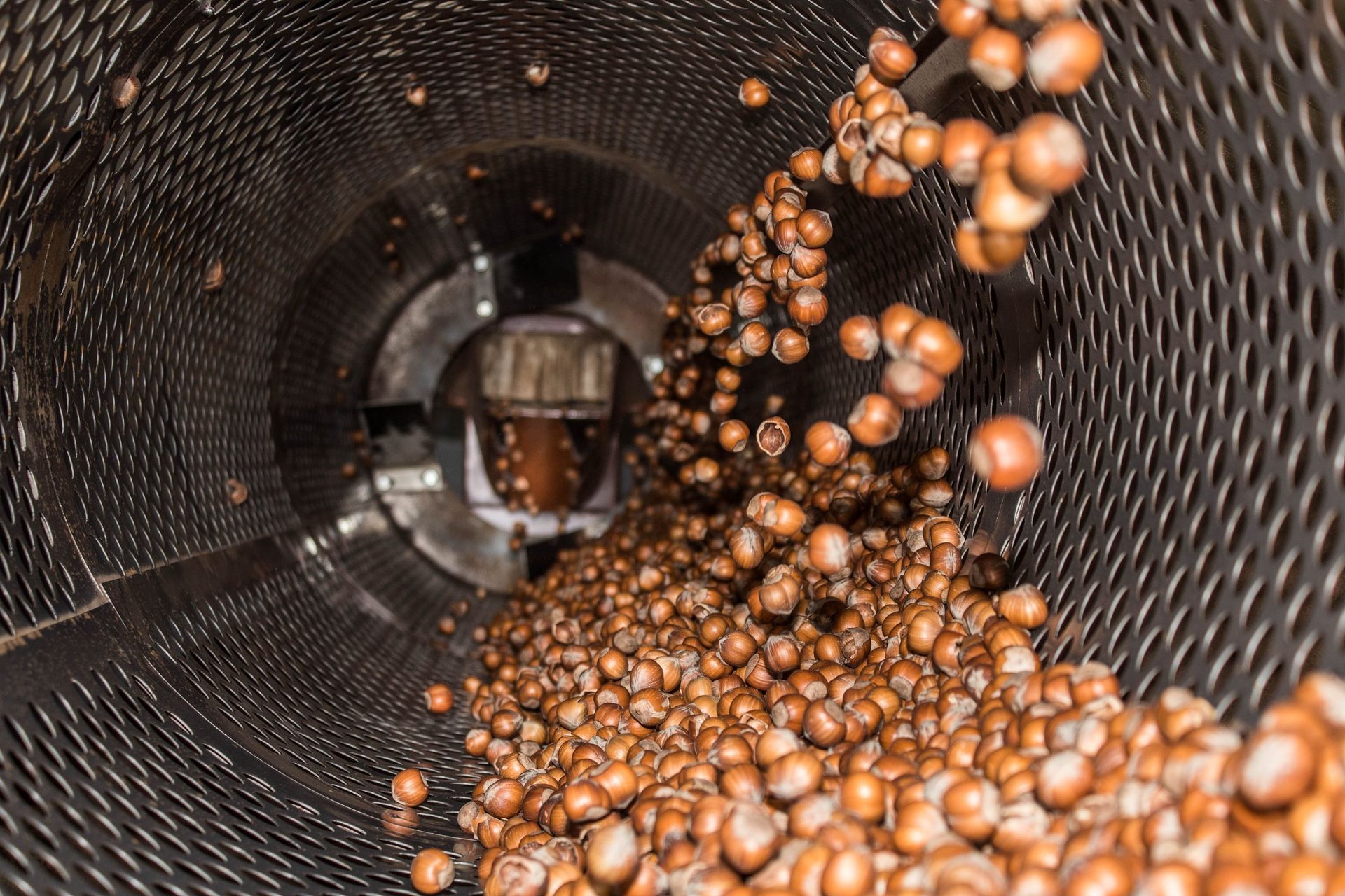 Nocciole versate in un cilindro industriale metallico.