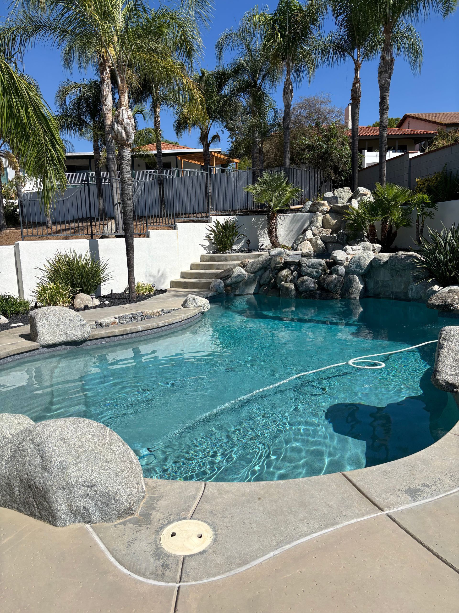 A large swimming pool with palm trees in the background