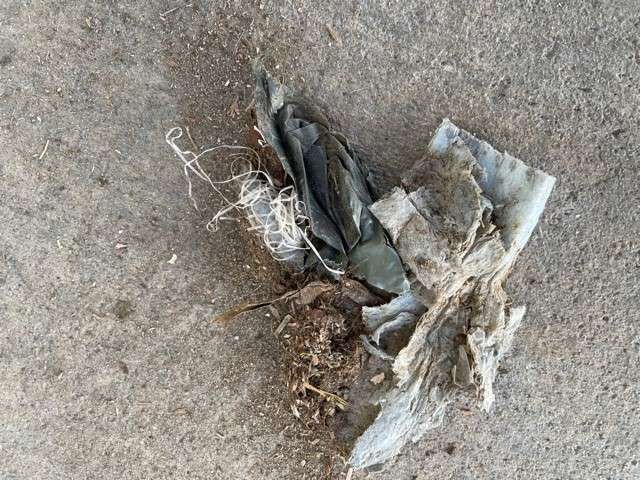 A piece of trash is on the ground.