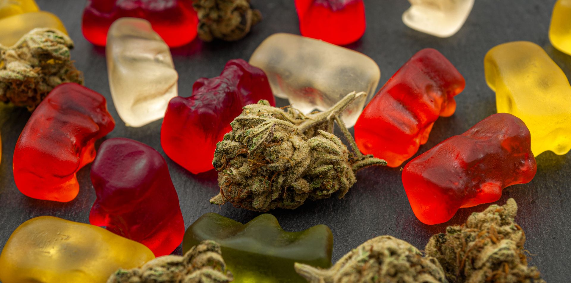 Cannabis edibles, medical marijuana, CBD infused gummies and edible pot concept theme with close up on colorful gummy bears and weed buds on dark background