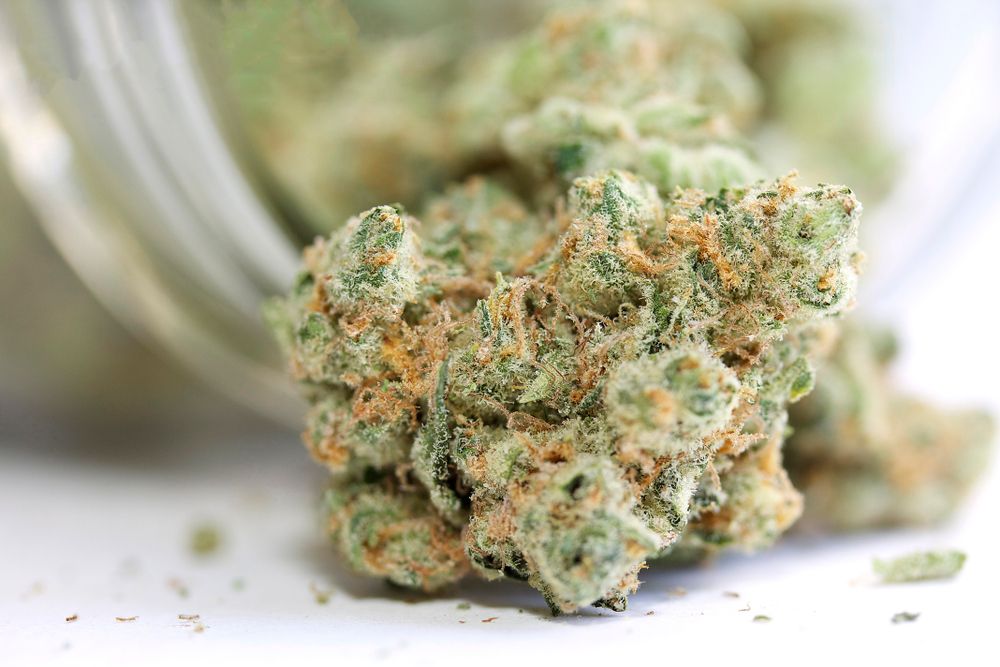bud