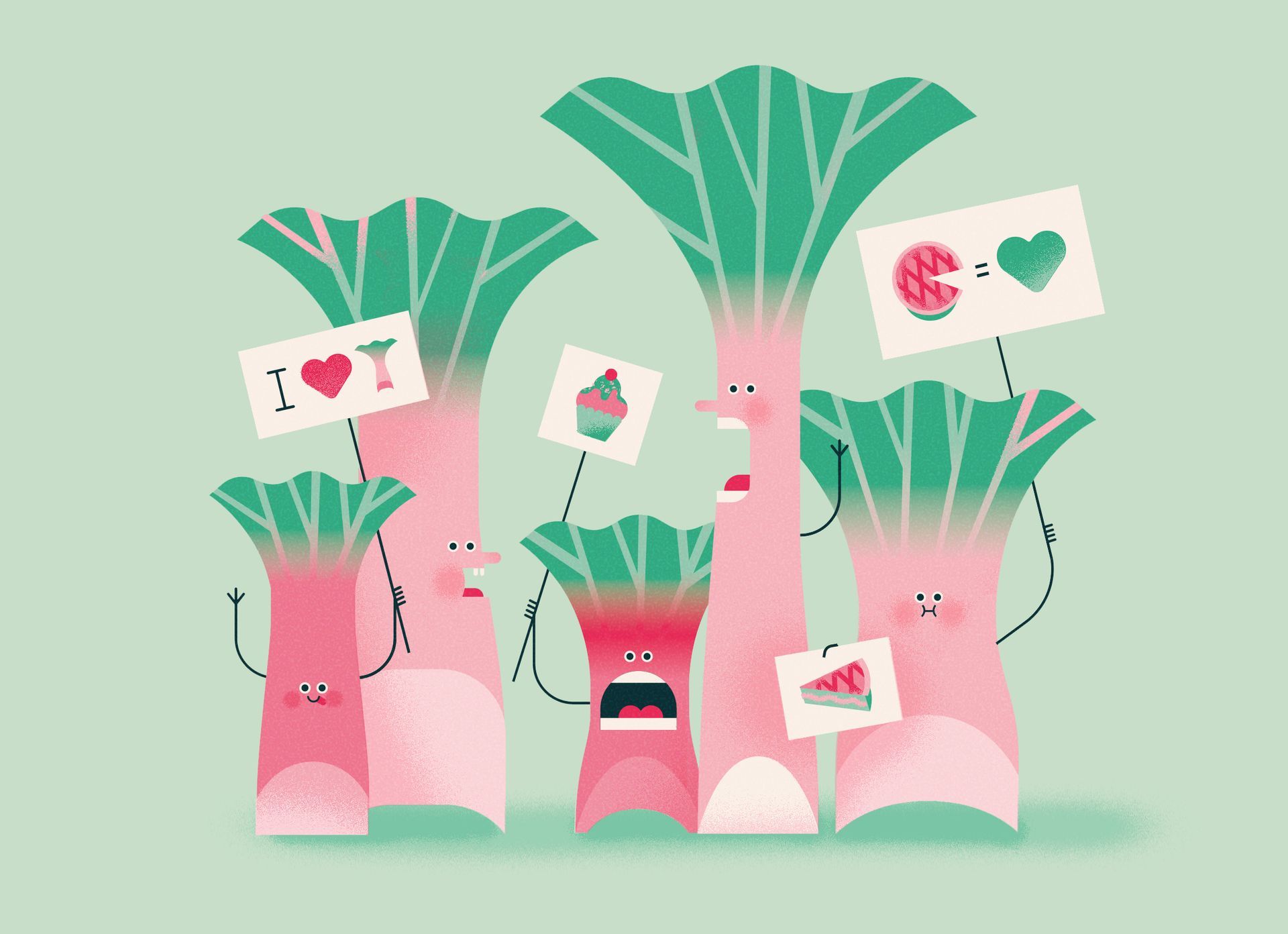 Belapeko. Illustrations of Rhubarb and pistachio for packaging