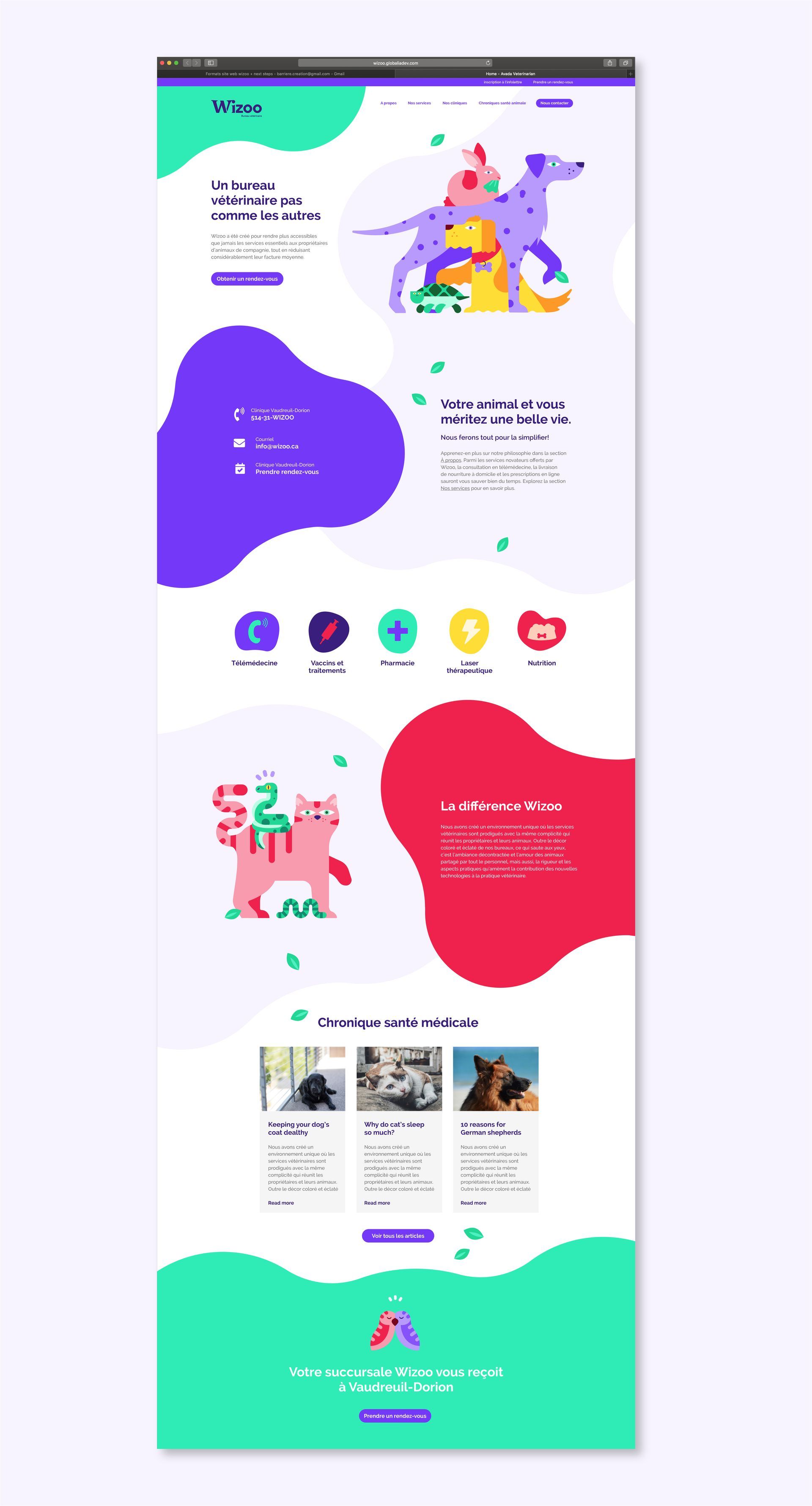 Wizoo. Brand illustrations for veterinary practice