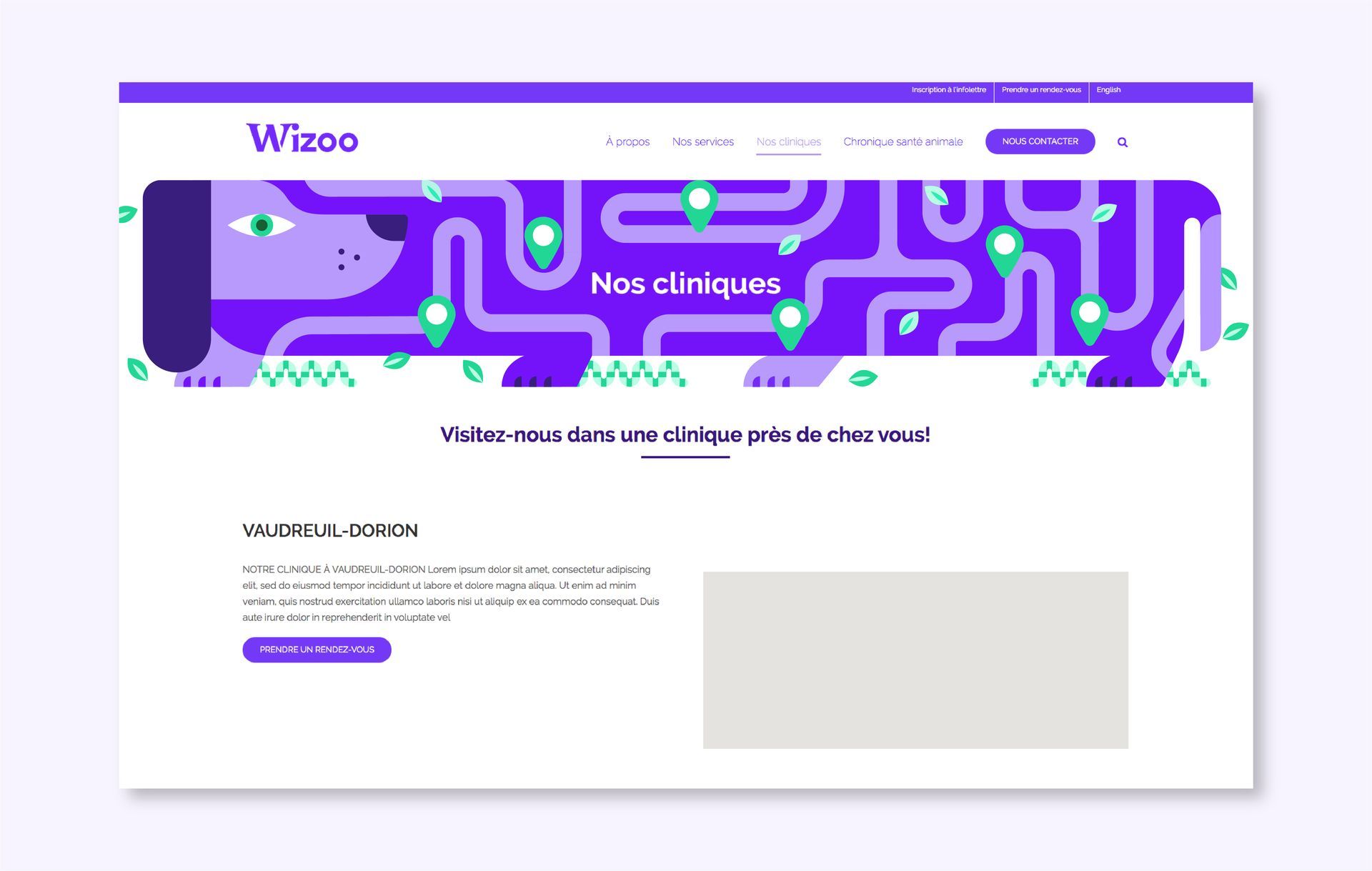 Wizoo. Brand illustrations for veterinary practice