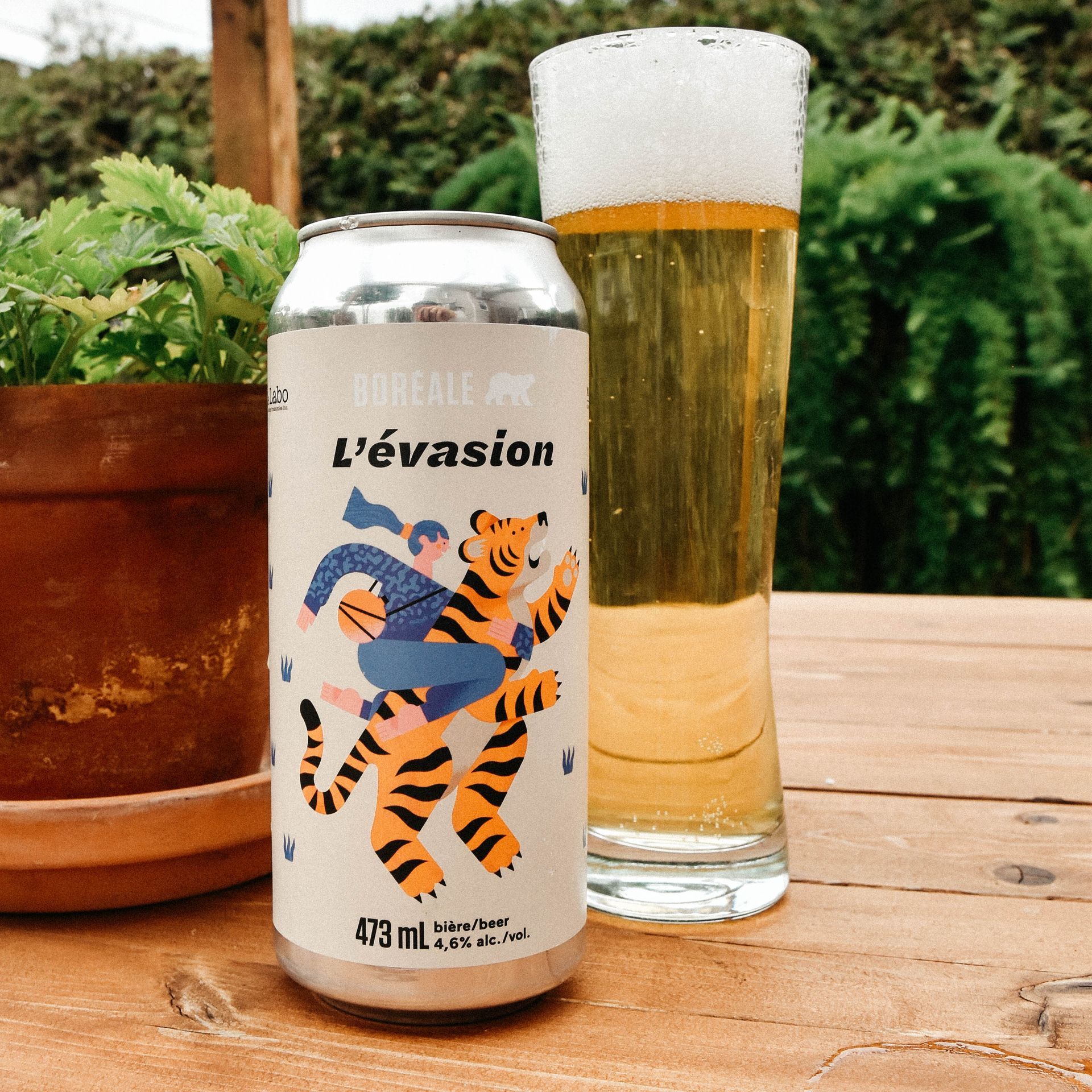 Boreal. Illustration for L'evasion beer packaging