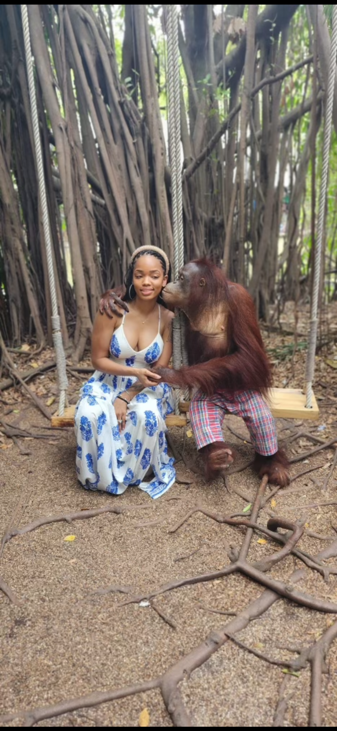 A woman and an orangutan are sitting on a swing in the woods.