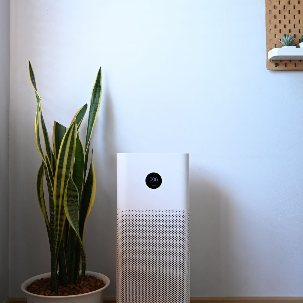A white air purifier is sitting next to a potted plant.