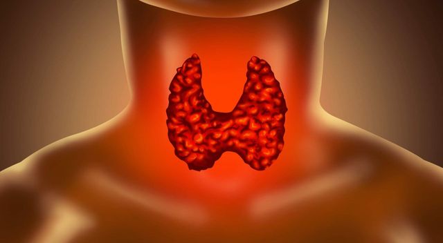 hashimoto disease and semaglutide Ozempic Hashimoto's: Thyroid Weight Management PDF) Combined Treatment of Type