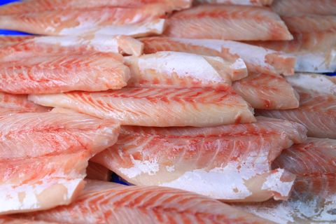 Lake Bounty Group Processor Exporter Of Nile Perch Fish Products