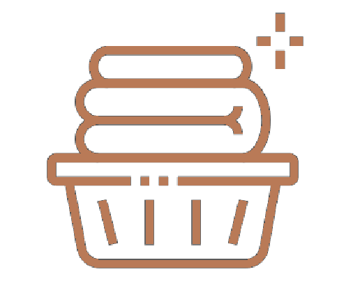 laundry-icon
