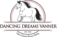 Dancing Dreams Vanner | Gypsy Vanner Horse Farm