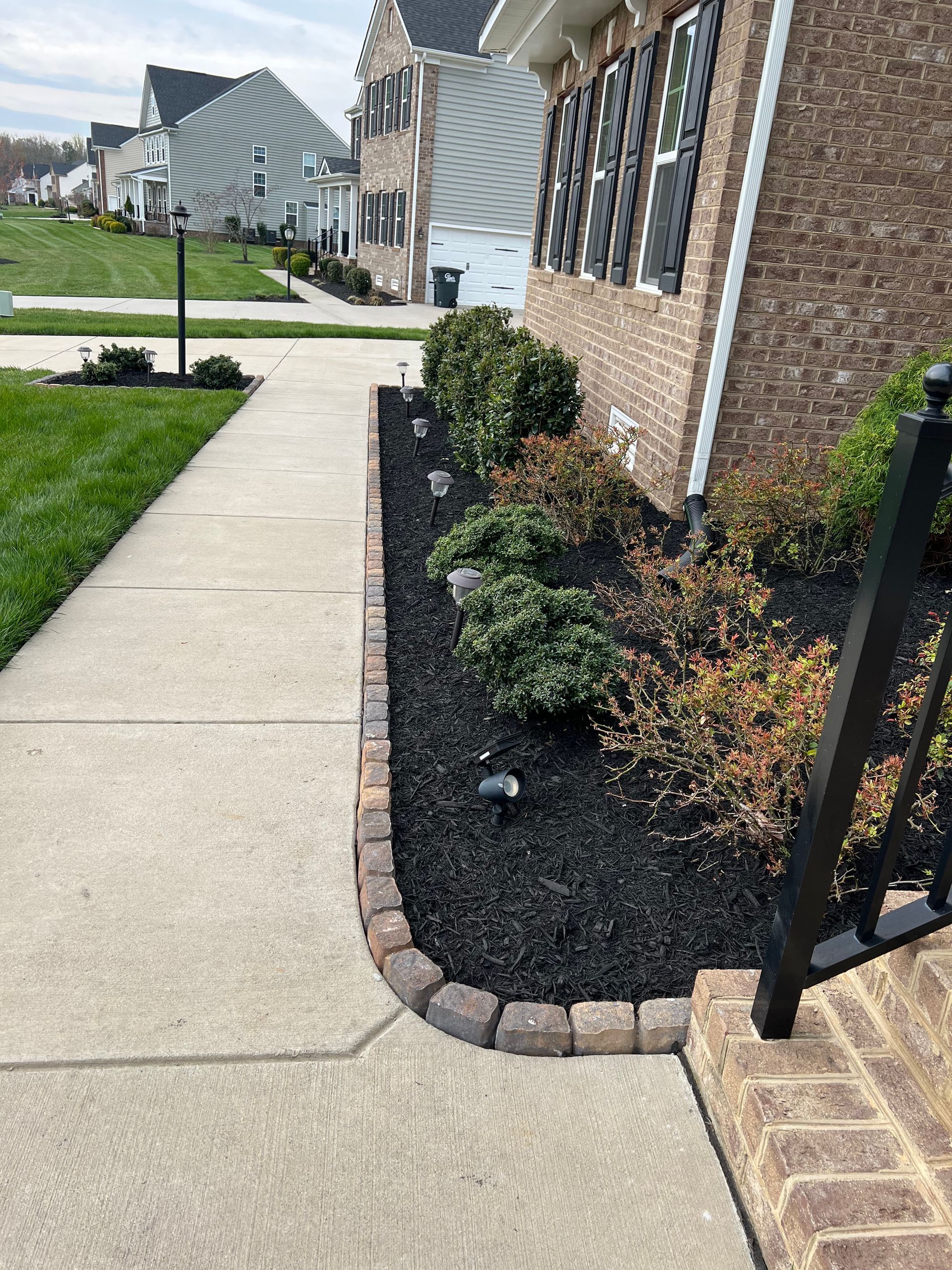 A sidewalk leading to a brick home with landscaped bushes and black mulch.