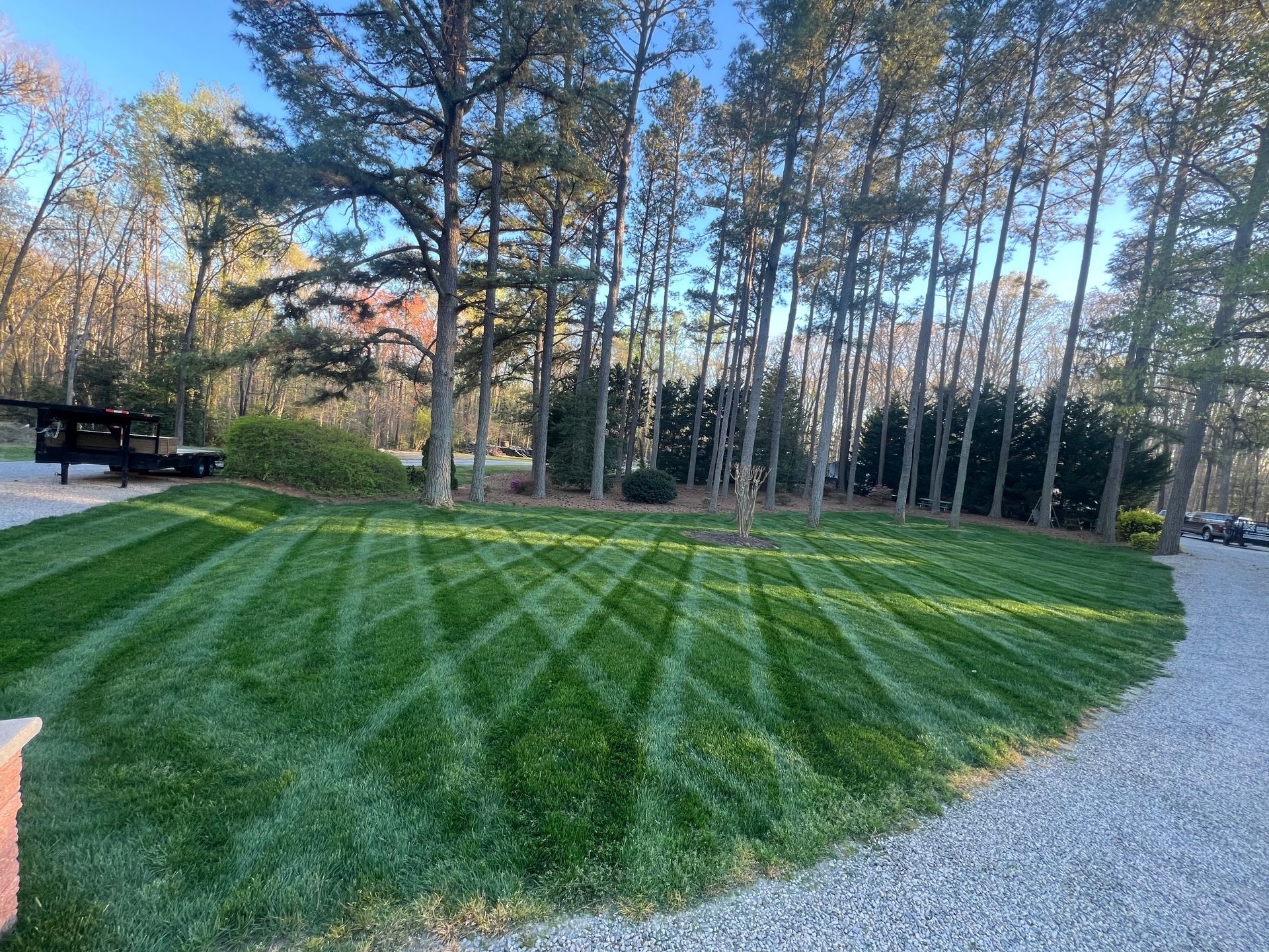 Lawn with geometric mowing pattern, surrounded by trees and a gravel driveway.