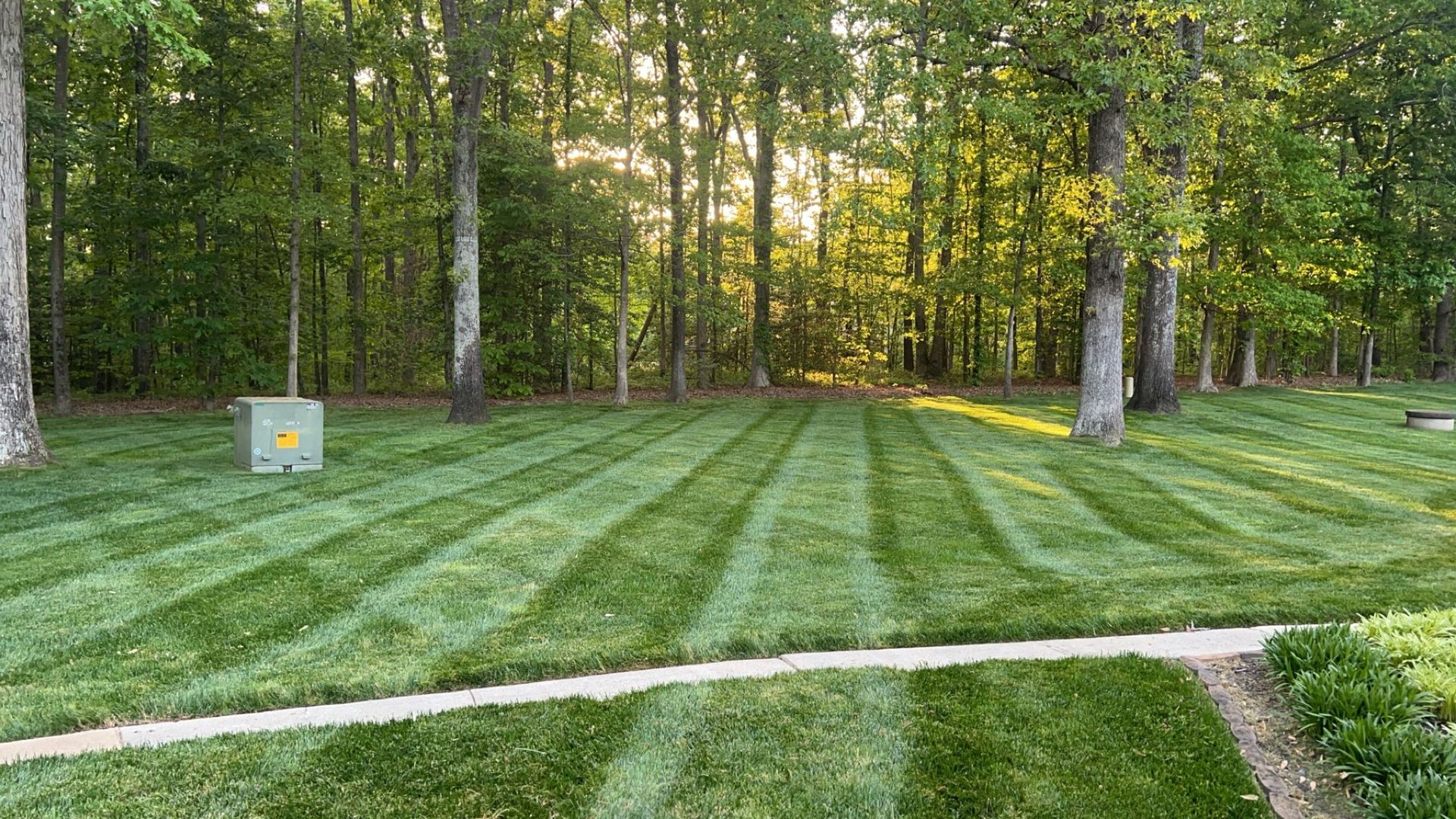 Lawn with striped pattern, leading to trees and sunlight in background. Green grass and forest setting.