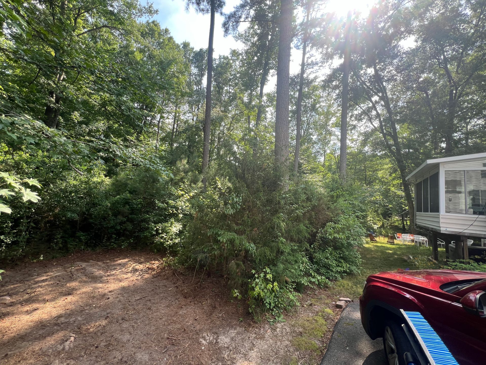 Wooded lot with dirt path and red vehicle parked near a house with a screened porch.