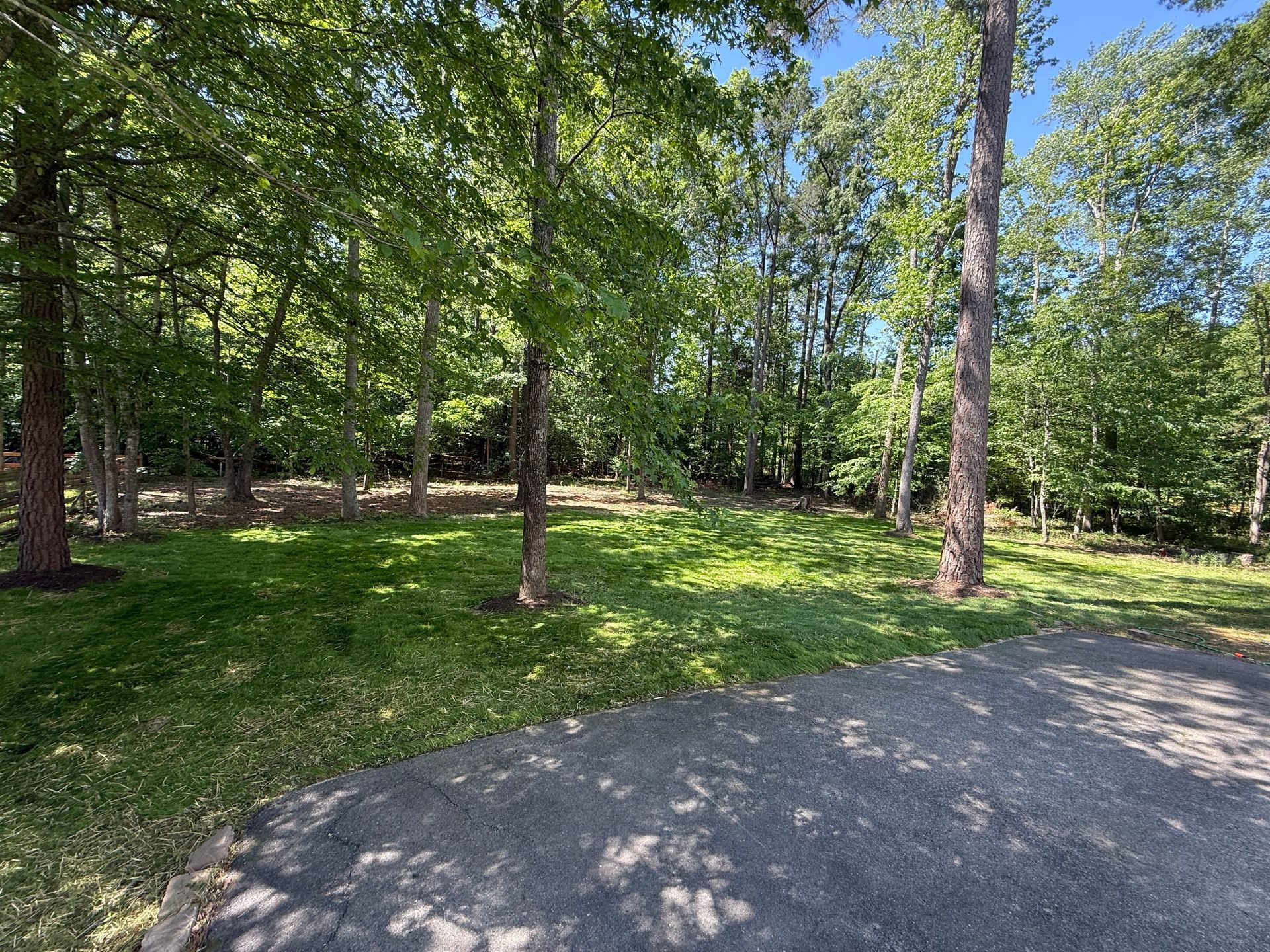 Grassy clearing surrounded by trees, viewed from paved surface on a sunny day.