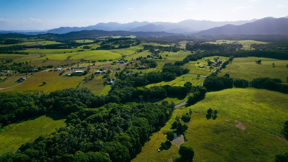 An Aerial View of A Lush Green Valley with Mountains in The Background — John Chisholm Flooring in Port Douglas,  QLD