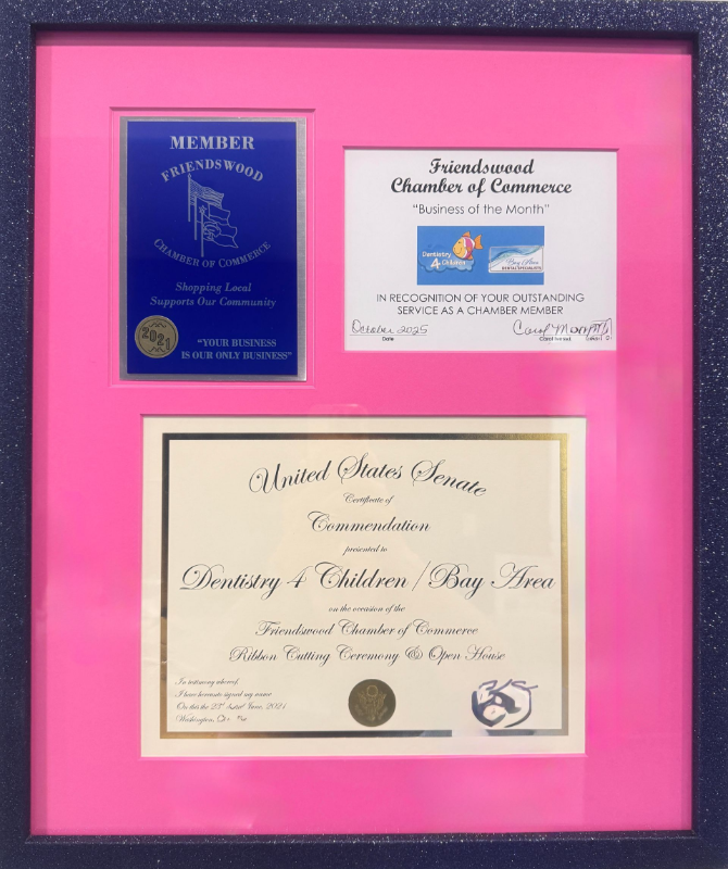 A framed collection of a blue member plaque, a chamber of commerce award, and a U.S. Senate certificate on a pink mat.