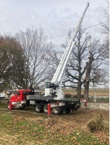 Equipments for Tree Removal — Paradise, PA — Stoltzfus Welding & Rental