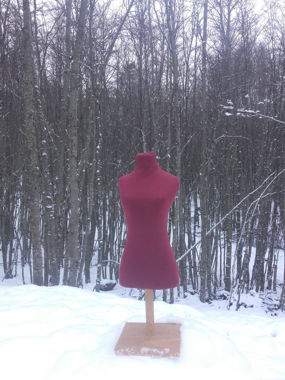 Maniquí de vestido rojo sobre soporte de madera en un bosque nevado.