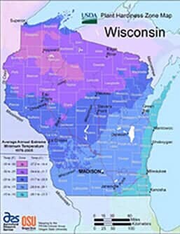 A jar of chocolate sauce with cinnamon sticks on a wooden tray.