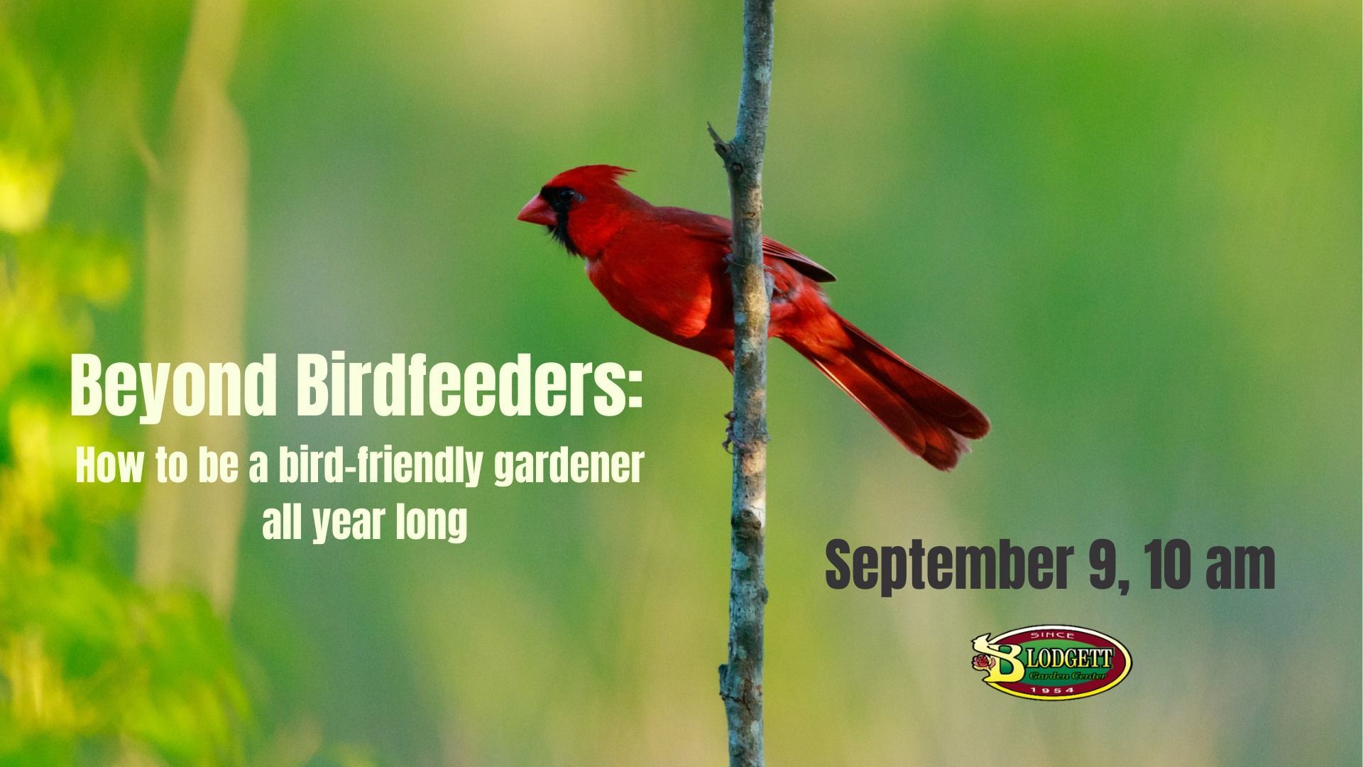 Garden Center Fort Atkinson, WI Blodgett Garden Center