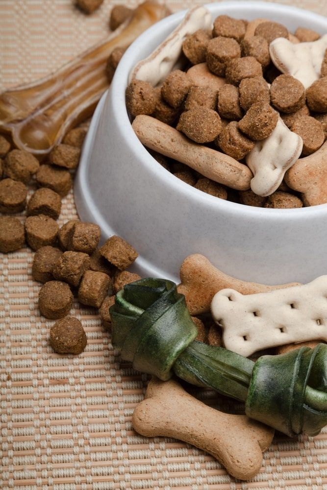 A Bowl Of Dog Food Is Surrounded By Dog Treats And Bones — Radley's Pet & Aquarium In Kanwal, NSW