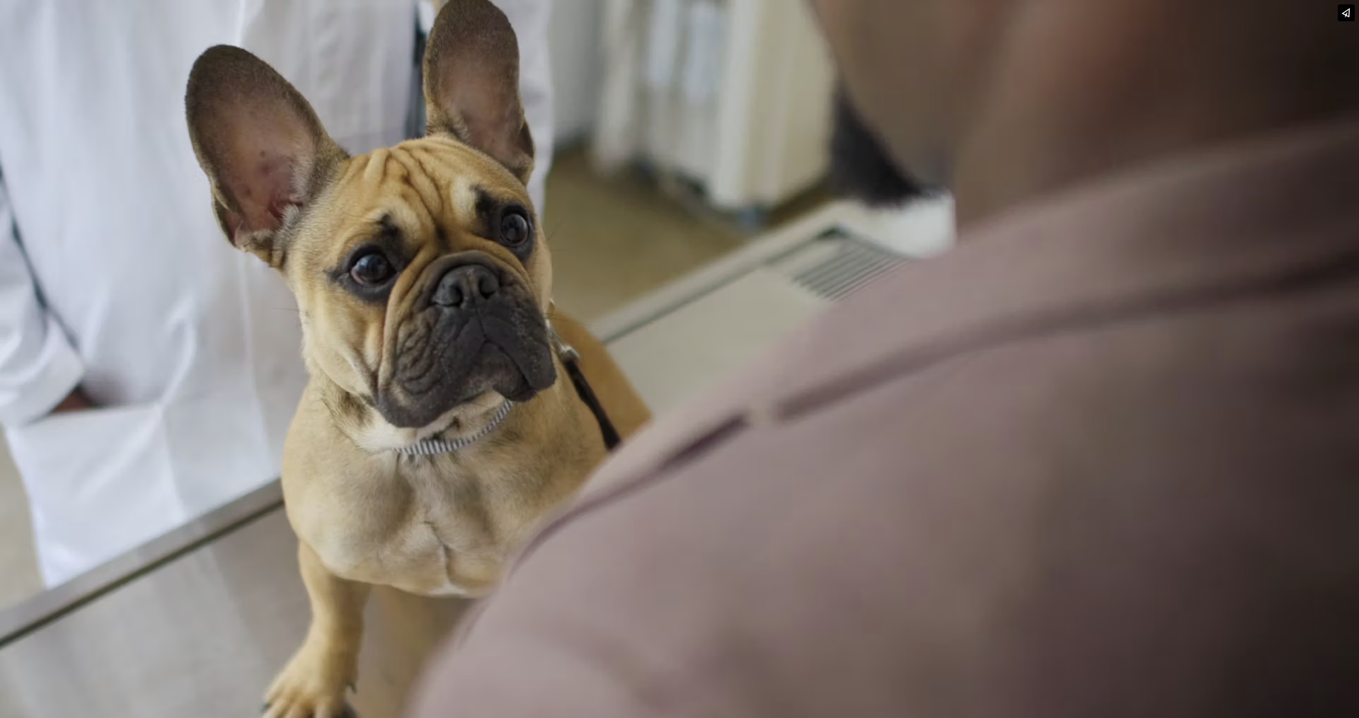 Kentucky Cabinet for  Health & Family Services