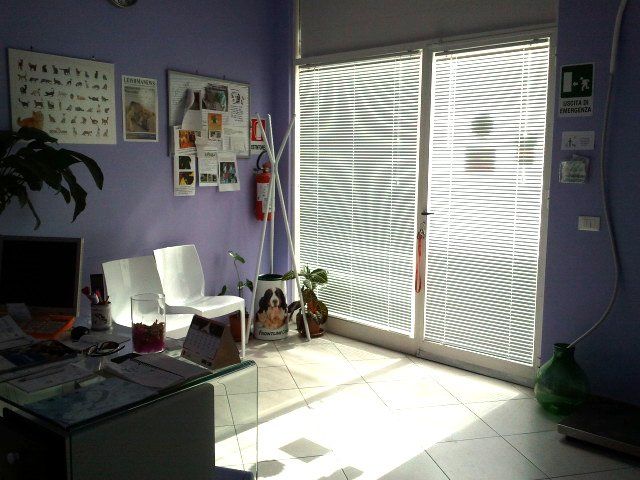 sala d'attesa della clinica veterinaria