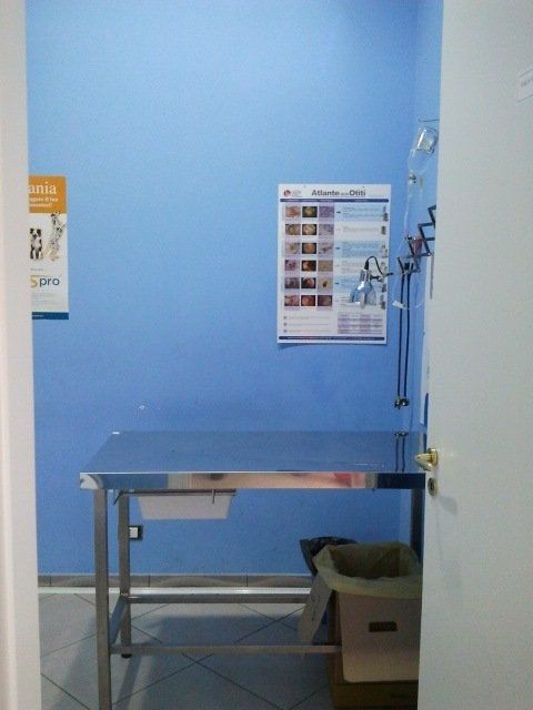 interno della clinica per animali