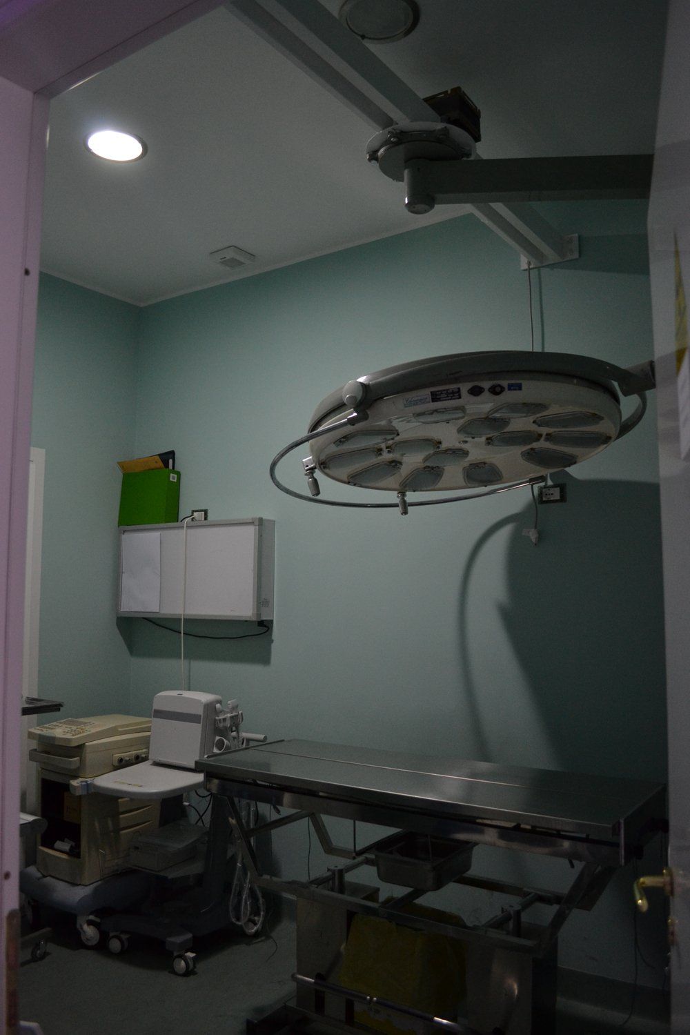 ambulatorio veterinario