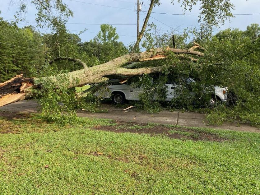 A tree has fallen on a car in a parking lot.