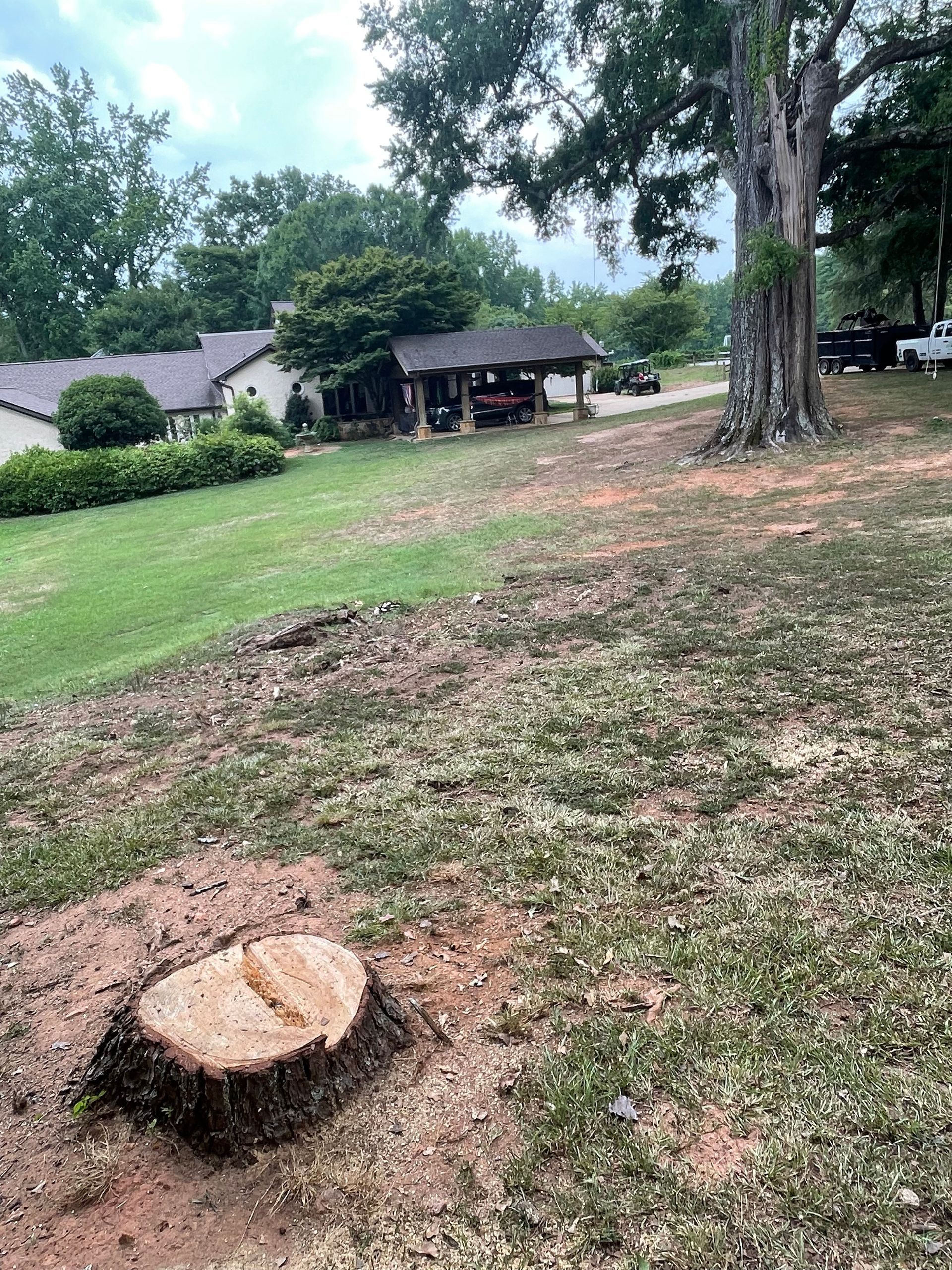 A tree stump in the middle of a grassy field in front of a house.